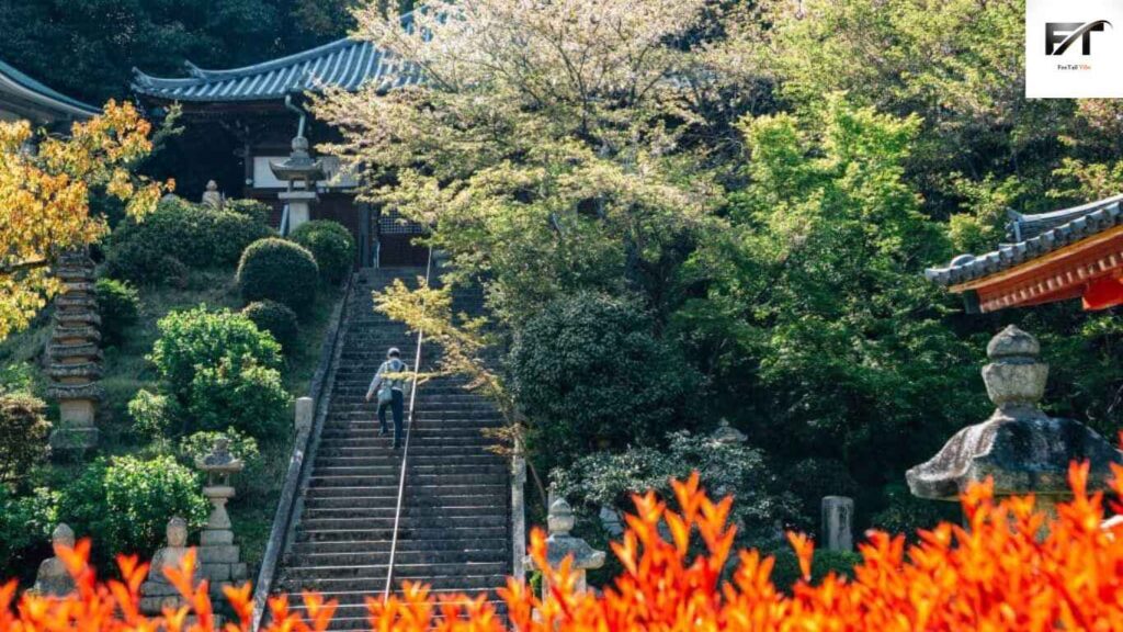 15 Best Things to See and Do in Japan - The Temple Pilgrimage