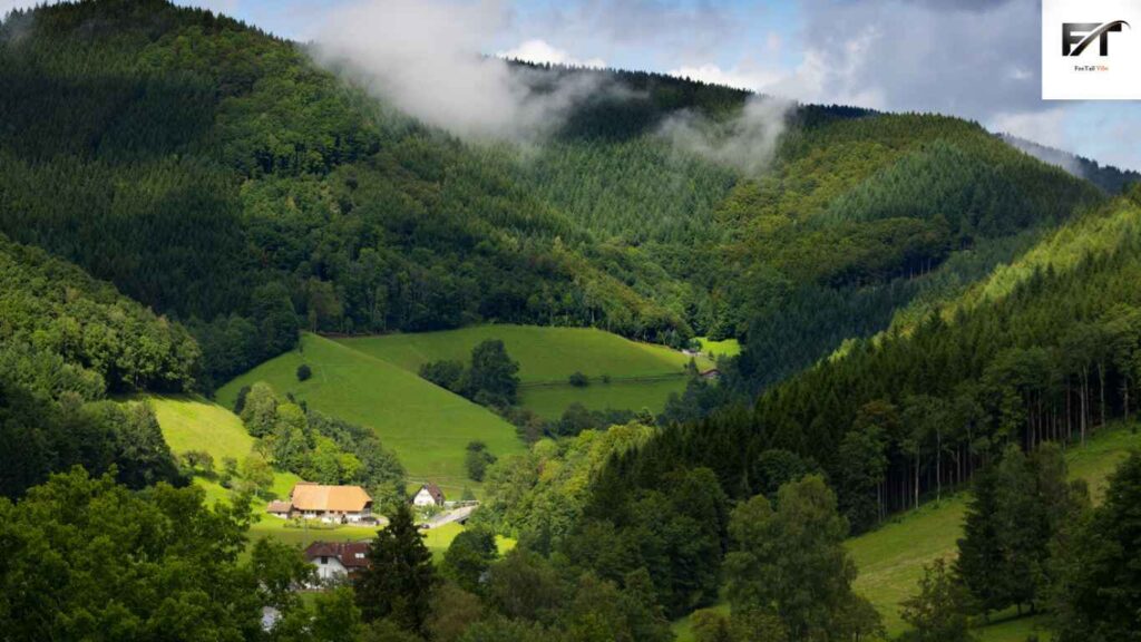 10 Best Things to See and Do in Germany - Hike The Black Forest