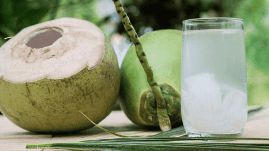 The Best Drinks for Healthy Weight Loss in 2024 - Coconut Water