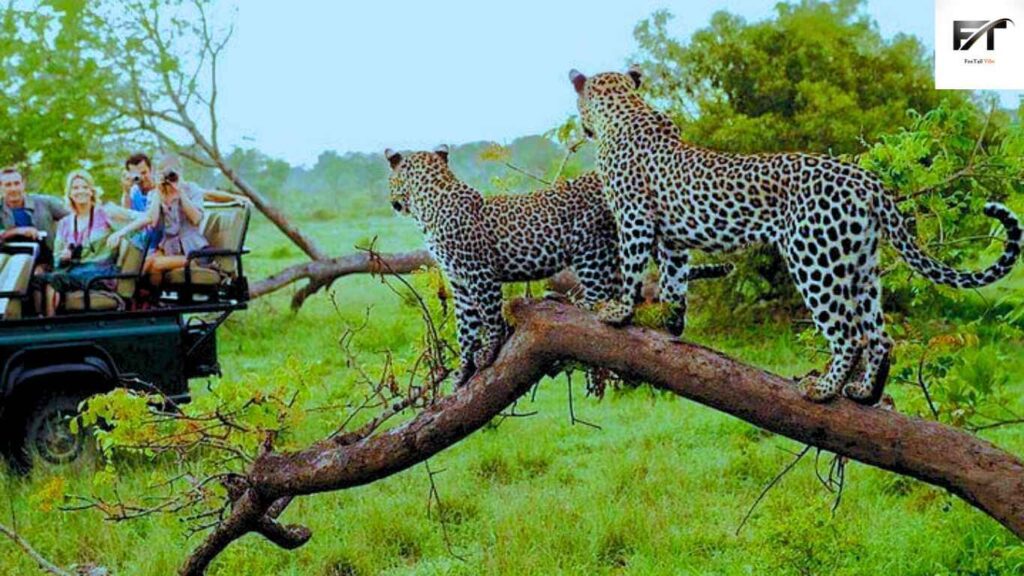 5 Best Wildlife Destinations in the World - Kruger National Park, South Africa