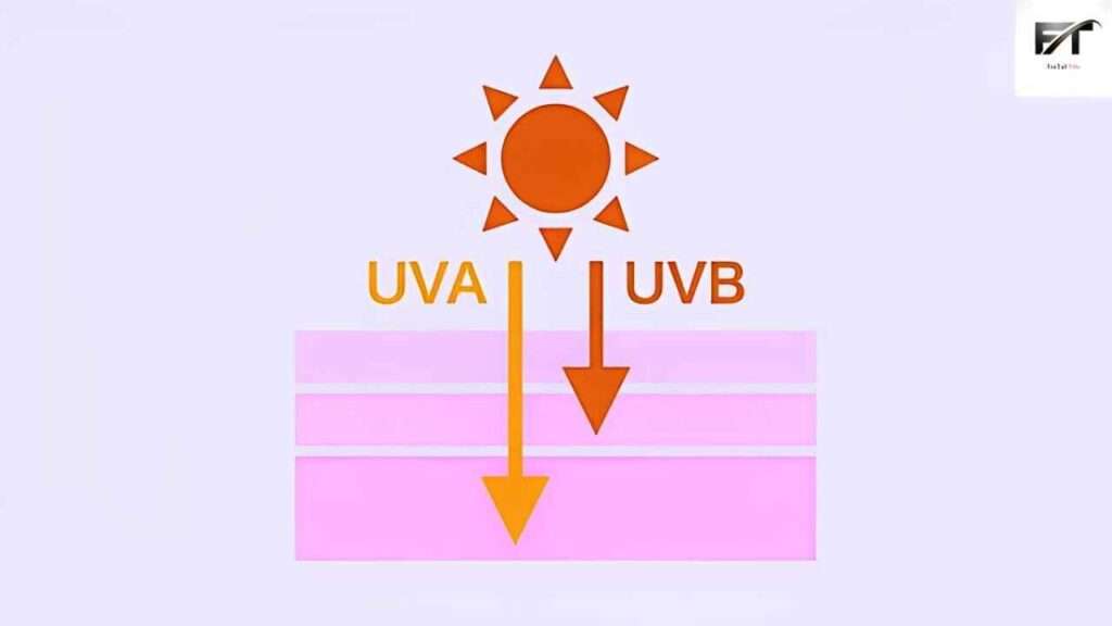 What Are UVA and UVB Rays?